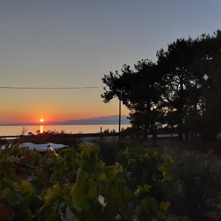 Το Σπίτι Με Το Πηγάδι - Wellcottage Thassos Скала-Каллирахис Экстерьер фото