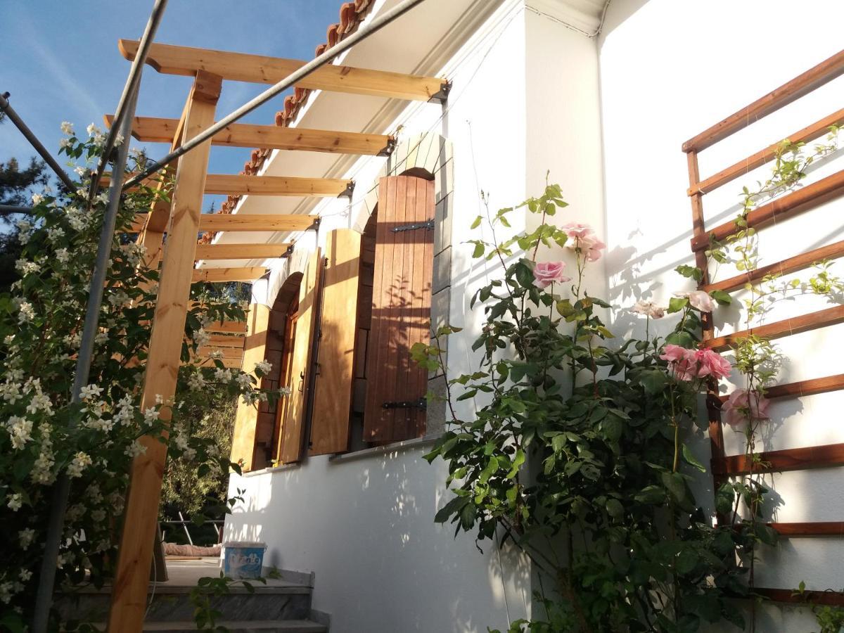 Το Σπίτι Με Το Πηγάδι - Wellcottage Thassos Скала-Каллирахис Экстерьер фото